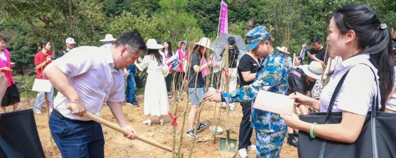 此次千人集訓營項目
