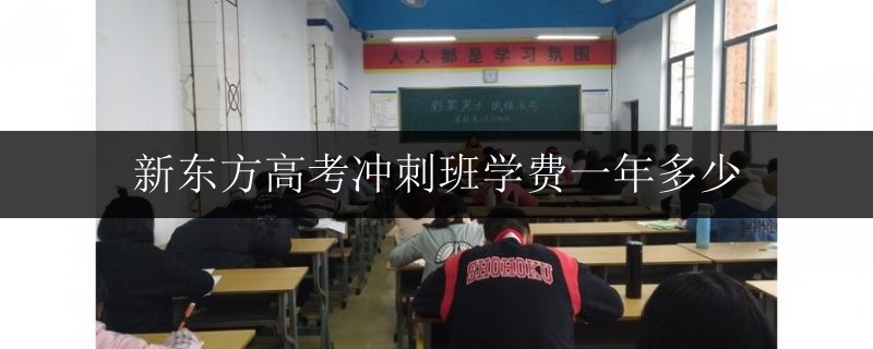 新東方高考沖刺班學(xué)費(fèi)一年多少