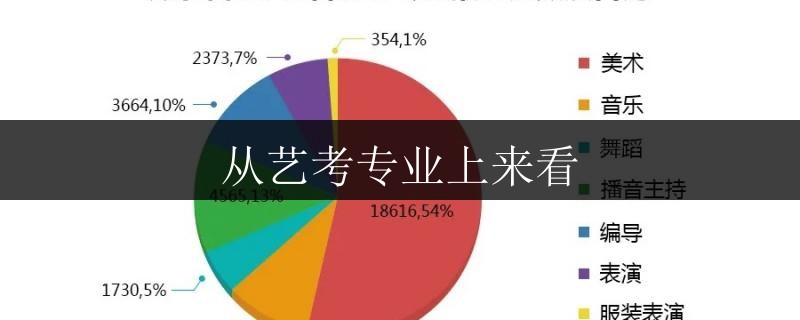 從藝考專業(yè)上來看
