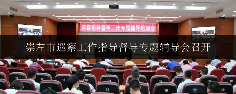 崇左市巡察工作指導(dǎo)督導(dǎo)專題輔導(dǎo)會召開
