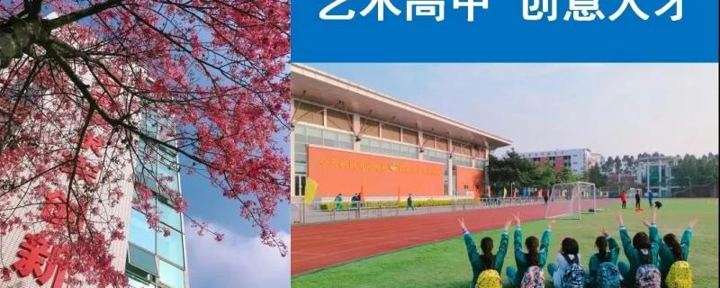 省實(shí)ap省實(shí)alevel省實(shí)國際藝術(shù)高中老牌名校廣東實(shí)驗(yàn)中學(xué)三大國際部都