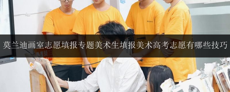 莫蘭迪畫室志愿填報(bào)專題美術(shù)生填報(bào)美術(shù)高考志愿有哪些技巧