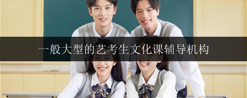 一般大型的藝考生文化課輔導(dǎo)機(jī)構(gòu)