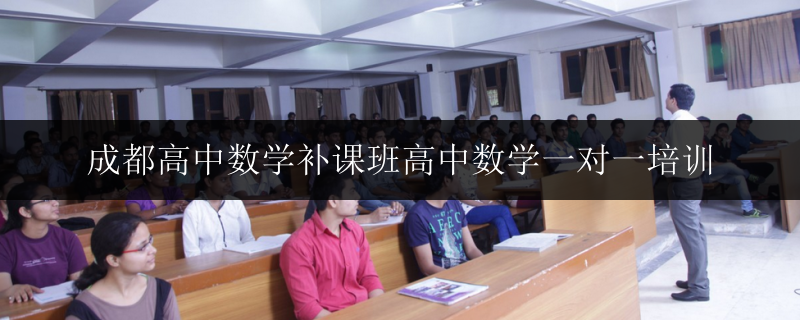 成都高中數(shù)學(xué)補課班高中數(shù)學(xué)一對一培訓(xùn)