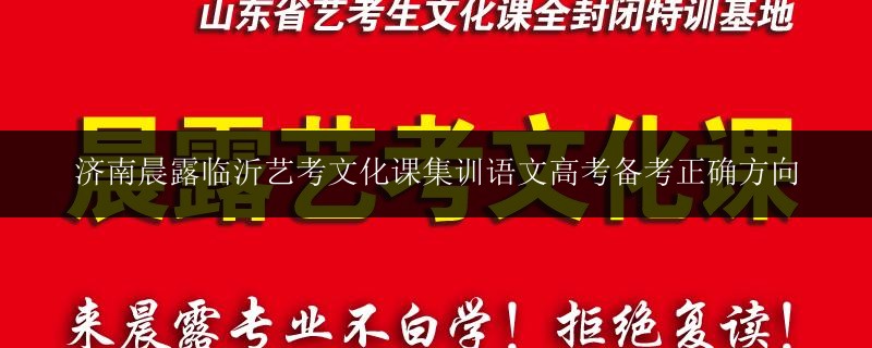 濟(jì)南晨露臨沂藝考文化課集訓(xùn)語文高考備考正確方向