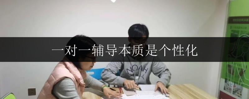 一對(duì)一輔導(dǎo)本質(zhì)是個(gè)性化