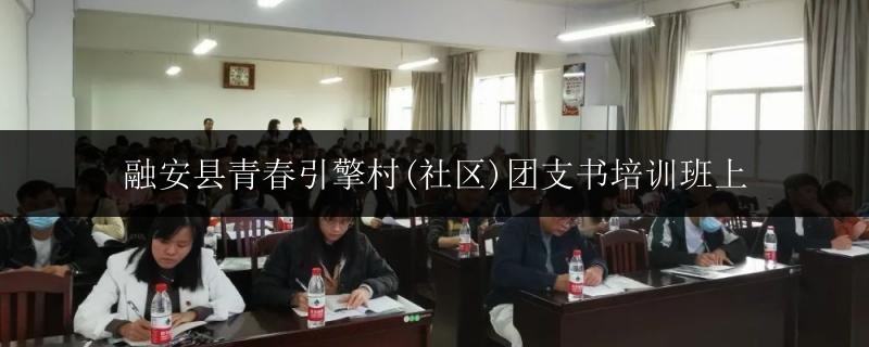 融安縣青春引擎村(社區(qū))團(tuán)支書培訓(xùn)班上