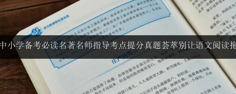 讀書中小學(xué)備考必讀名著名師指導(dǎo)考點(diǎn)提分真題薈萃別讓語(yǔ)文閱讀拖后腿