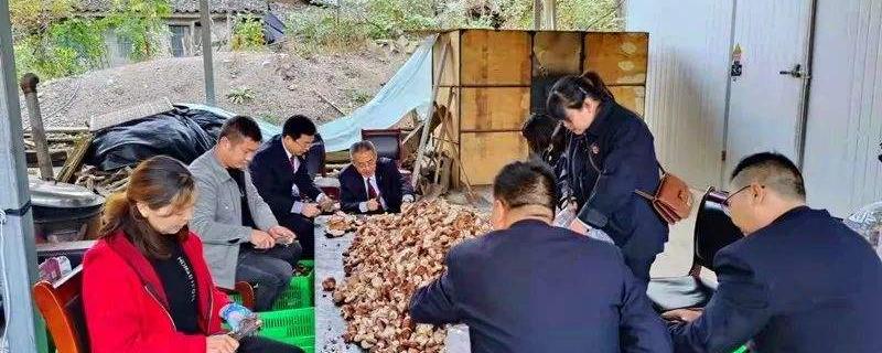 深入開展六查六問嚴(yán)格落實(shí)一對(duì)一幫扶要求