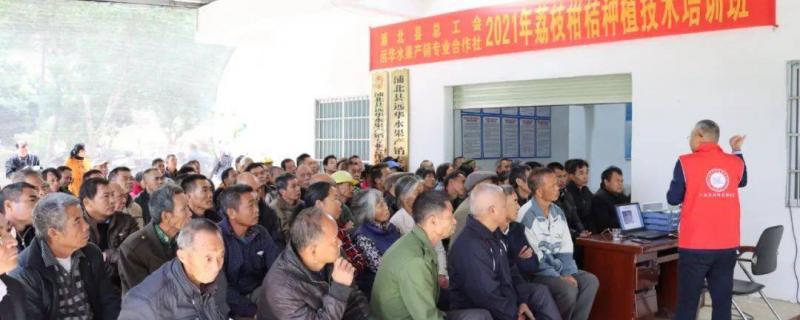 浦北縣總工會舉辦荔枝柑桔種植技術培訓班