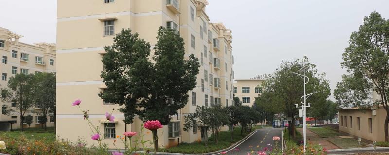 東西湖區(qū)初中英語輔導(dǎo)班有哪些好的推薦2021新初中教育機(jī)構(gòu)