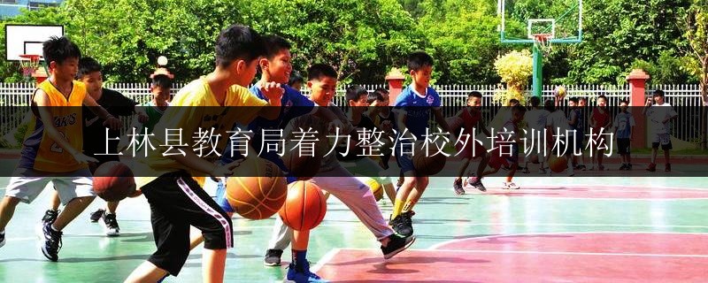 上林縣教育局著力整治校外培訓機構(gòu)