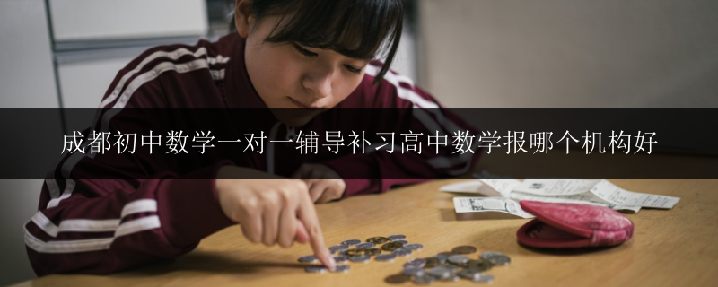 成都初中數(shù)學一對一輔導補習高中數(shù)學報哪個機構(gòu)好