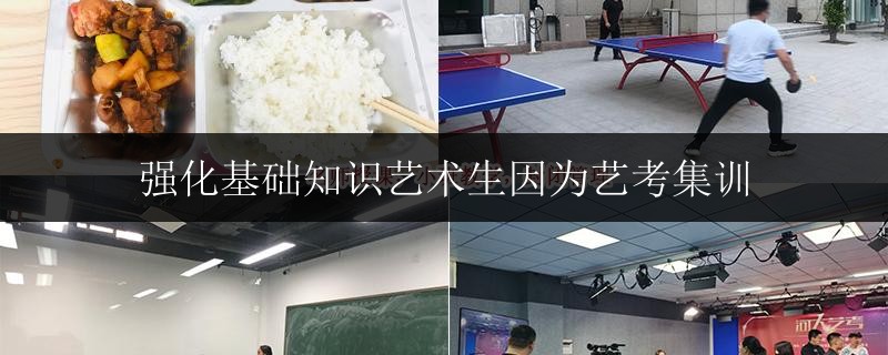 強(qiáng)化基礎(chǔ)知識(shí)藝術(shù)生因?yàn)樗嚳技?xùn)