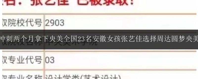 沖刺兩個月拿下央美全國23名安徽女孩張藝佳選擇周達(dá)圓夢央美