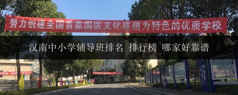 漢南中小學(xué)輔導(dǎo)班排名 排行榜 哪家好靠譜