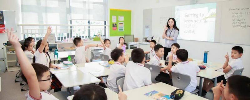 全年齡段真實(shí)課堂體驗(yàn)涵蓋文化