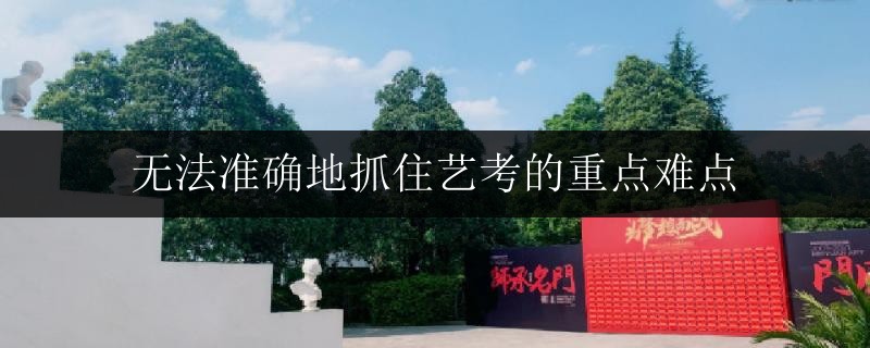 無法準(zhǔn)確地抓住藝考的重點(diǎn)難點(diǎn)